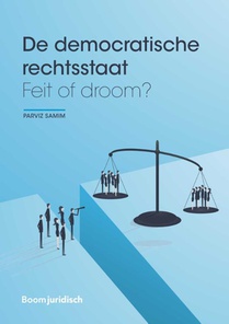 De democratische rechtsstaat