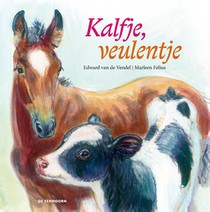 Kalfje, veulentje voorzijde