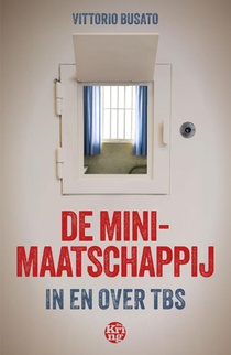 De minimaatschappij