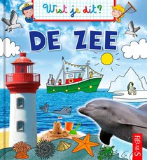 De zee voorzijde