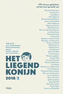 Het Liegend Konijn