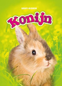 Konijn