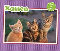 Katten