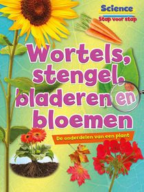 Wortels, stengels, bladeren en bloemen