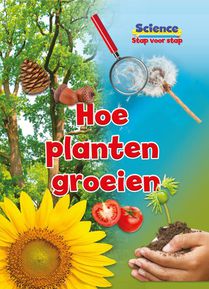 Hoe planten groeien