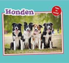 Honden