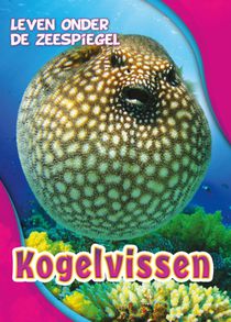 Kogelvissen voorzijde