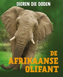 De Afrikaanse olifant voorzijde