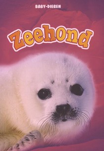 Zeehond voorzijde