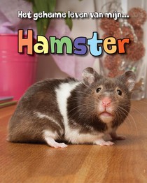 Hamster voorzijde