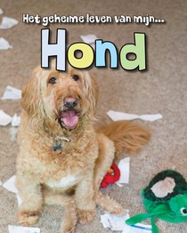 Hond voorzijde