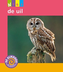 De uil voorzijde