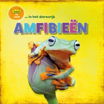 Amfibieën