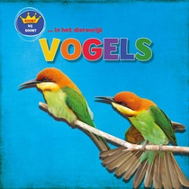 Vogels voorzijde