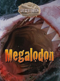 Megalodon voorzijde