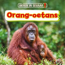 Orang-oetans