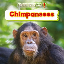 Chimpansees voorzijde
