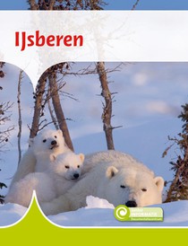 IJsberen