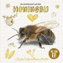 De levensloop van de honingbij