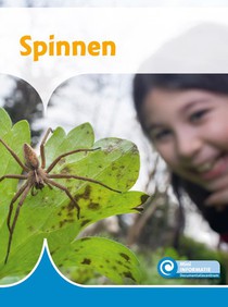 Spinnen voorzijde