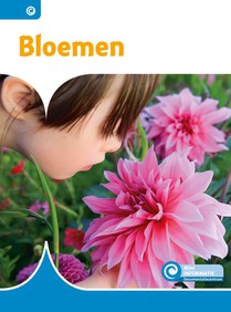 Bloemen voorzijde