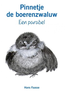 Pinnetje de boerenzwaluw