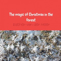 The magic of Christmas in the forest voorzijde