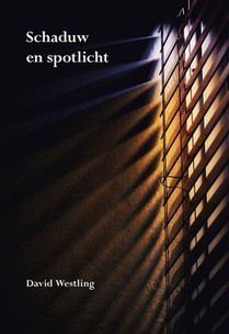 Schaduw en spotlicht voorzijde