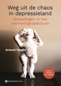 Weg uit de chaos in depressieland