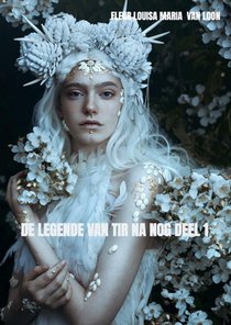 De legende van Tir Na Nog deel 1