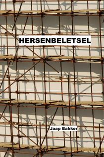 Hersenbeletsel