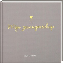 Baby invulboeken - Mijn zwangerschap