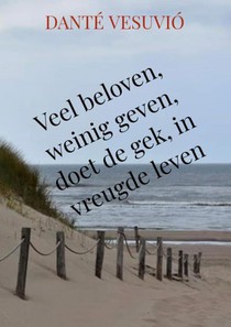 Veel beloven, weinig geven, doet de gek, in vreugde leven voorzijde