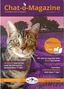 Chat-o-Magazine