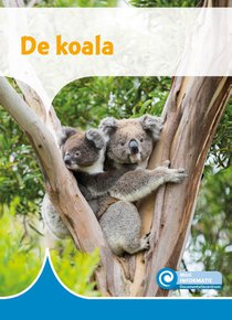 De koala voorzijde