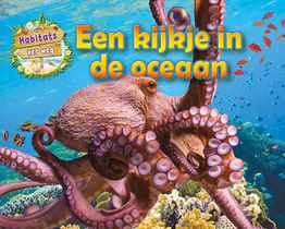 Een kijkje in de oceaan