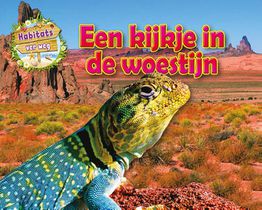 Een kijkje in de woestijn voorzijde