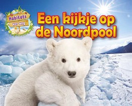 Een kijkje op de Noordpool