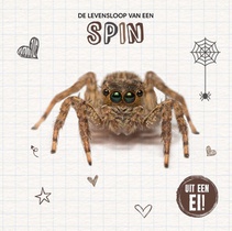 De levensloop van een spin