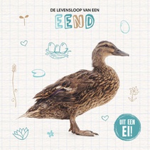 De levensloop van een eend