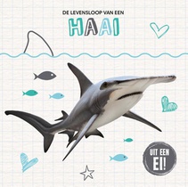 De levensloop van een haai