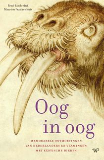 Oog in oog