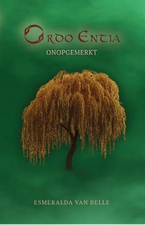 Onopgemerkt