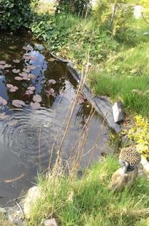 mijn dagboek voorzijde