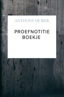 Proefnotitie Boekje