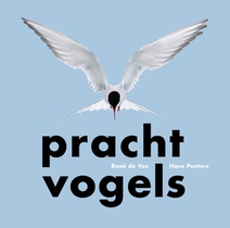 Prachtvogels