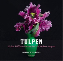 Tulpen