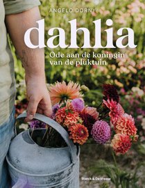 Dahlia