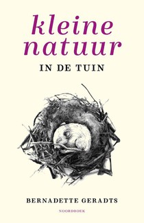 Kleine natuur in de tuin