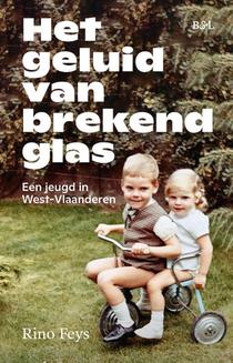 Het geluid van brekend glas voorzijde